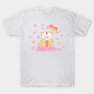 Cute cat got a gift box T-Shirt